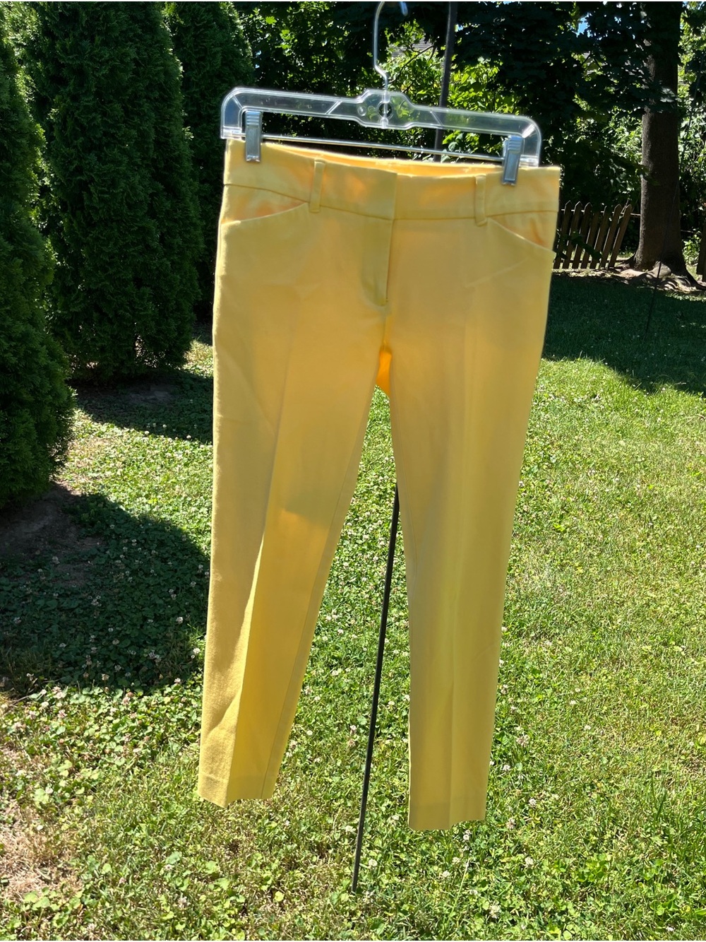 New York & Company Yellow Slim Pants